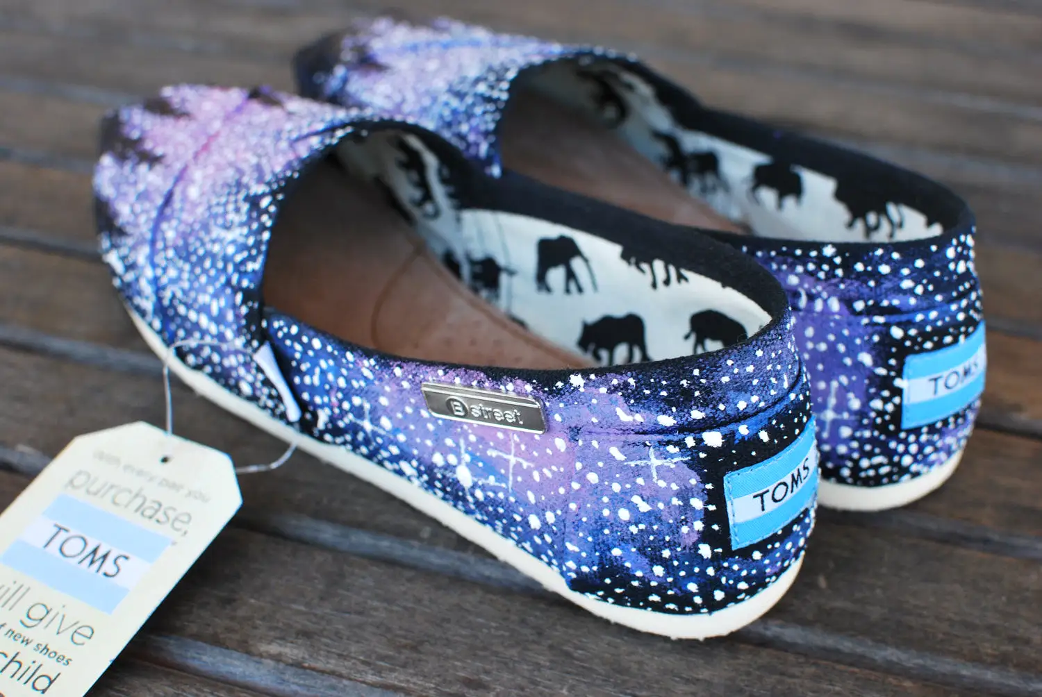 Alaska Galaxy TOMS shoes