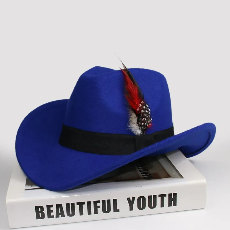 Unisex Casual Wool Pheasant Feather Decor Western Wide Brim Cowboy Hat