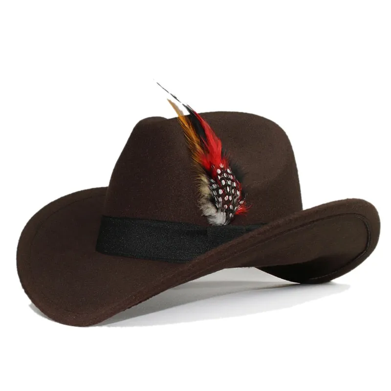 Unisex Casual Wool Pheasant Feather Decor Western Wide Brim Cowboy Hat