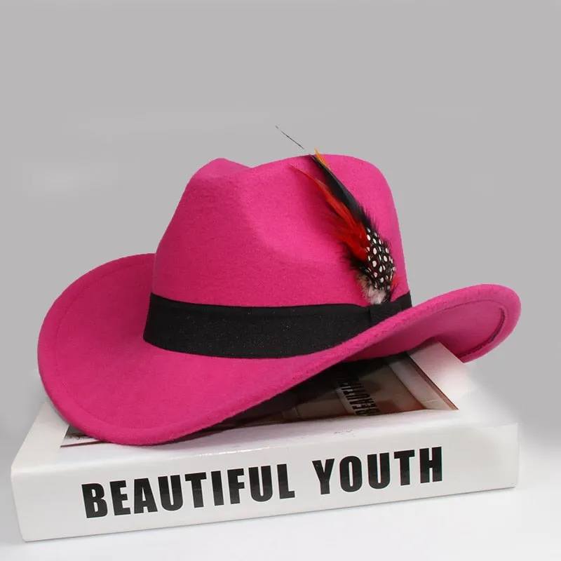 Unisex Casual Wool Pheasant Feather Decor Western Wide Brim Cowboy Hat