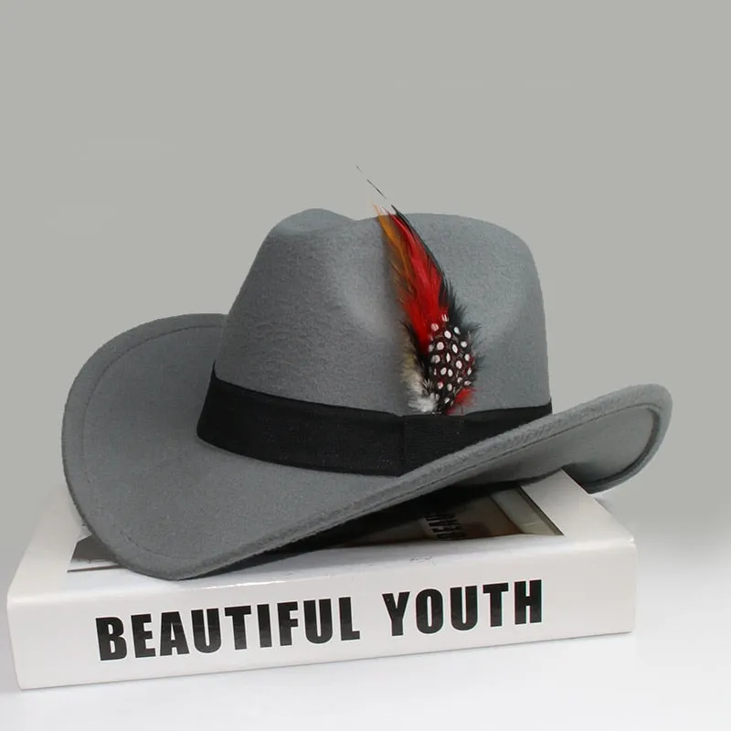 Unisex Casual Wool Pheasant Feather Decor Western Wide Brim Cowboy Hat