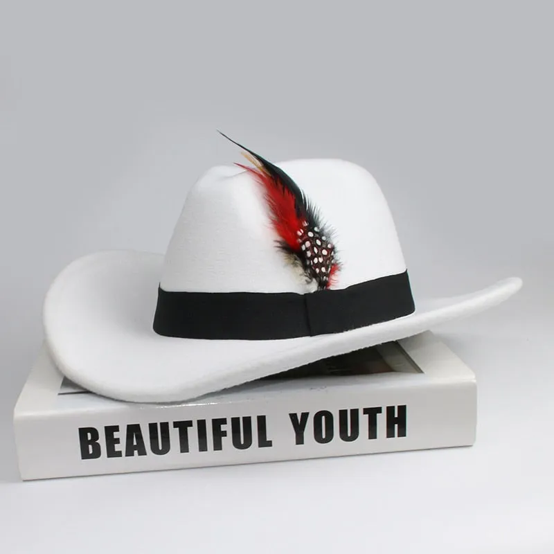 Unisex Casual Wool Pheasant Feather Decor Western Wide Brim Cowboy Hat