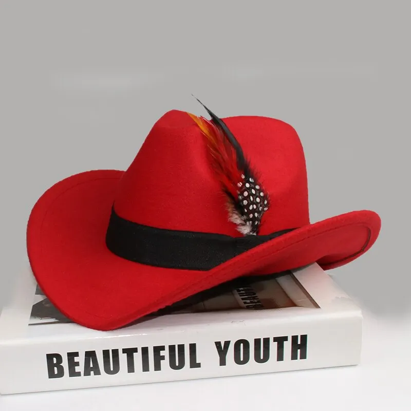 Unisex Casual Wool Pheasant Feather Decor Western Wide Brim Cowboy Hat